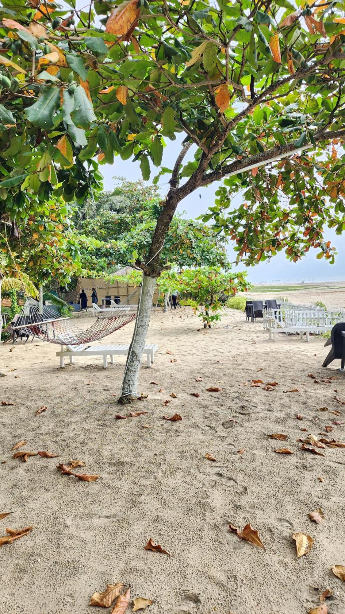 Palm Beach Resort, Alleppey Alappuzha Εξωτερικό φωτογραφία