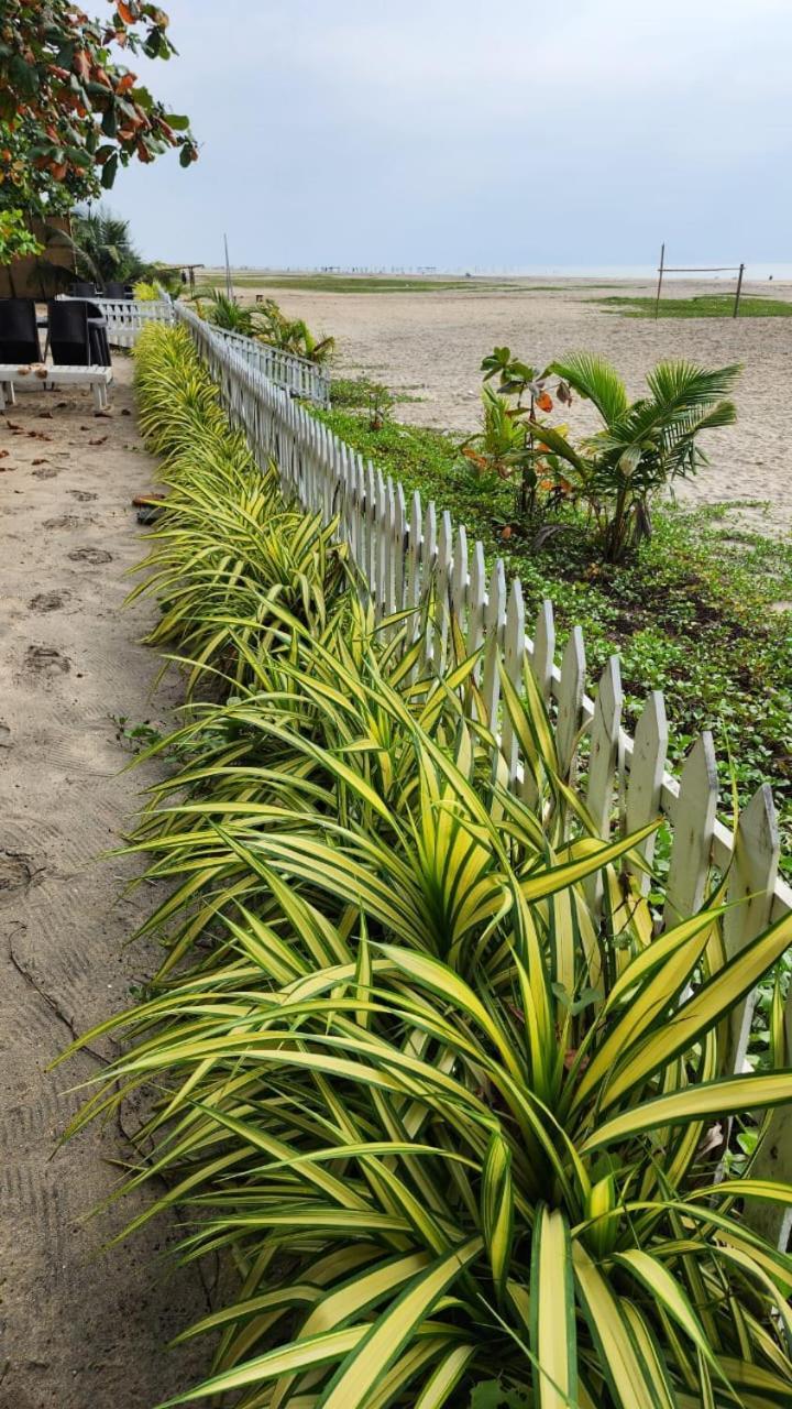Palm Beach Resort, Alleppey Alappuzha Εξωτερικό φωτογραφία